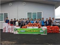 [의성군정] 의성군 공무원, 지역 농산물 팔아주기 행사 진행 外