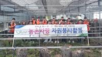 경남농협 대학생 농촌사랑봉사단, 창원 북면 버섯재배농가 일손돕기 구슬땀