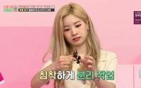 '아이돌룸' 트와이스 다현, 풍뎅이 분리작업 거친 뒤 이사 시키기 성공
