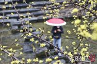 [날씨] 오늘날씨, 4월 첫날인 수요일 미세먼지 ‘나쁨’…곳곳에 ‘비’
