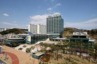 [포항시정] 소상공인 공유재산 사용료 5 →1% 인하 外