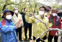 이철우 지사, 저온피해 현장 방문…신속한 복구·지원 약속
