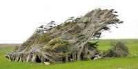 뉴질랜드 ‘슬로프 포인트’ 강풍이 만든 걸작