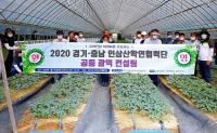 경기·충남 인삼산학연협력단 광역 재배컨설팅 실시