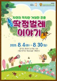 화성시 반석산 에코스쿨, ‘작지만 거대한 곤충 딱정벌레 이야기’ 기획전시 연다