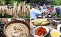 ‘한국인의 밥상’ 여름의 달콤함 옥수수, 묵부터 고추장까지 다양한 변신