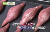 ‘생방송 투데이’ 해남 고구마빵, 정성 가득 손님들이 먼저 알아봐 “발효차로 반죽”