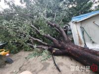 부산진구 전포 2-1구역 인근 주민들 “극심한 빌딩풍도 당장 해결할 문제”