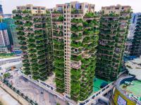 중국 청두 ‘녹색천국’ 아파트가 ‘모기지옥’ 된 사연