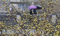 [날씨] 오늘날씨, 목요일 전국 맑고 '큰 일교차'…제주-전남 '빗방울'