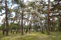 청송군, 산림자원 보호 발빠르게 '대처'