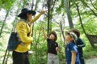 [경북소식] 산소카페 청송군, '유아숲 체험원' 운영 들어가 外