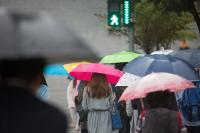 [날씨] 오늘날씨, 월요일 전국 흐리고 '비 소식'…해안-제주 '강한 바람'