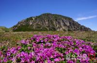 한라산국립공원 5월부터 입산.하산 시간 조정