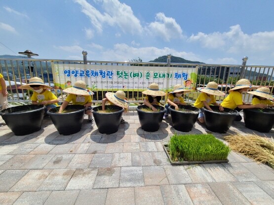 전포초등학교 1학년 학생들의 모내기 장면.