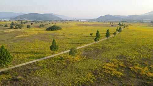 낙동강변길 (사진=구미시 제공)