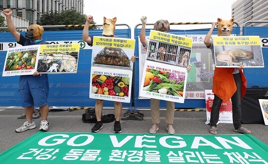 11일 서울 광화문 이순신 동상 앞에서 한국동물보호연합, 한국채식연합 활동가들이 개 도살 중단 및 건강 채식을 촉구하는 기자회견을 하고 있다. 사진=연합뉴스