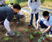 [경북교육청] 학교텃밭 활동 프로그램 14교 선정 外