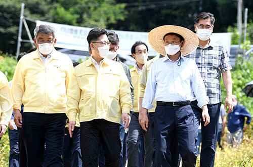 이철우 경북지사(오른쪽)와 김현수 농림축산식품부 장관(가운데)이 5일 예천군 사과 농가를 방문해 여름철 폭염 피해 대비 상황을 점검하고 있다. (사진=경북도 제공)