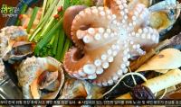 '2TV저녁 생생정보' 인생 역전의 맛, 파주 통문어 황제 해신탕