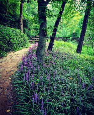 수상작(동해 산림체육공원) &lt;포항시 제공&gt;