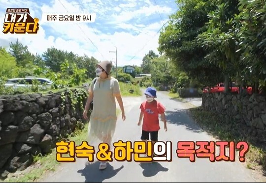 사진=JTBC 내가 키운다