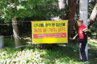 경북도, 가을철 임산물 불법채취 '꼼짝마'…집중단속