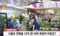 ‘생방송 오늘저녁’ 김포 화훼농원, 구입 금액에 따라 커피 제공 “식물에 진심인 사람들”