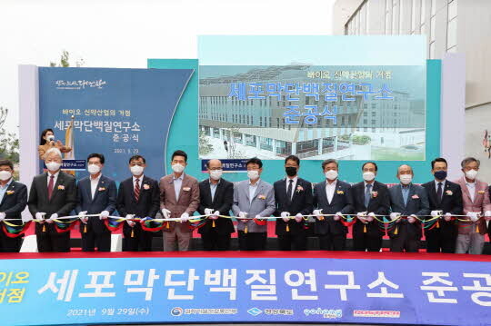 <포항시 제공>