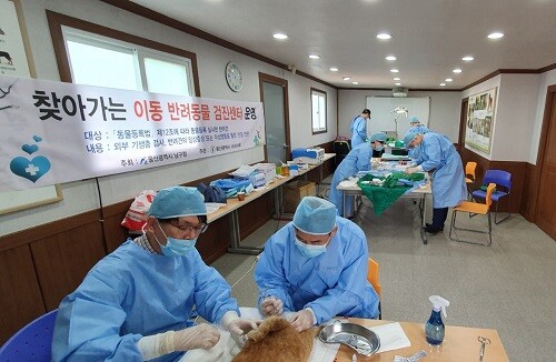 '찾아가는 이동 반려동물 검진 센터'에서 반려견을 치료하는 모습 (사진=독자 제공)