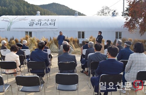 토종벼 채종포 설명회 장면.