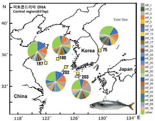 국내 연안 고등어 DNA 분석표
