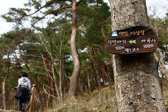 마곡사 뒷산자락으로 일명 솔바람길이 있다. 솔바람길은 3개 코스로 나뉘어 있는데 부담 없이 걷기는 3km 정도인 1코스 백범명상길이 좋다. 사진=이송이 기자