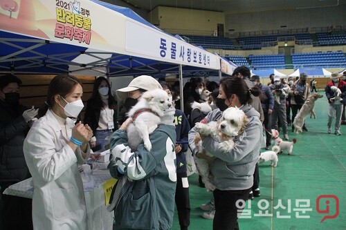 11일 경주실내체육관에서 열린 '2021년 경주 반려동물 문화축제'에서 시민들이 반려견의 예방접종을 위해 줄을 서고 있다.