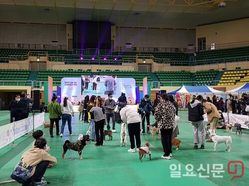11일 경주실내체육관에서 열린 '2021 경주 반려동물 문화축제'에서 이웅종 교수가 플레이그라운드 체험과 행동교정 및 교감 프로그램을 진행하고 있다.