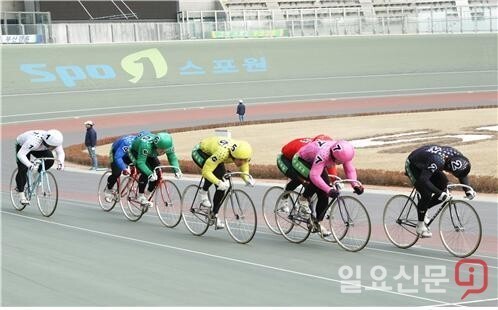 스포원 이사장 후보자가 시의회 인사검증회를 앞두고 자진 사퇴했다가 하루도 안 돼 번복해 부산시의 '공공기관장 인사 논란' 논란이 일고 있다. 스포원에서 펼쳐지는 경륜 모습.