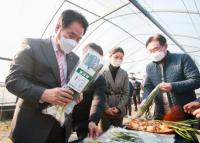 용인시, 전국 최초 친환경농법 재배 ‘양대파’ 출하