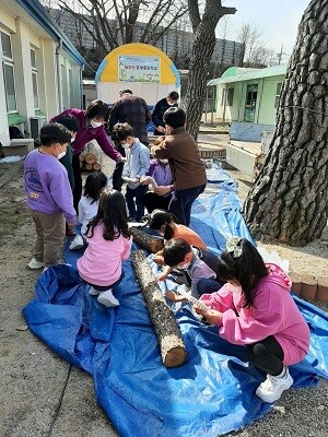 모량초등학교 표고버섯 종균접종체험. (사진=경북교육청 제공)