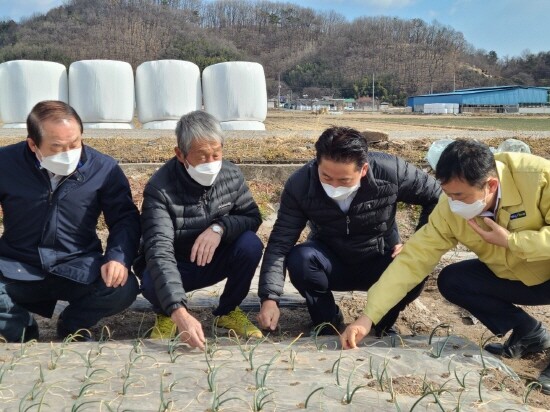 농작물 생육상태 점검 모습. 왼쪽부터, 김용구 의령농협조합장, 조합원(농업인), 김주양 경남농협 본부장, 신해근 농협 의령군지부장. 사진=경남농협