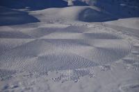 ‘12시간 걸어서 만든’ 눈밭의 발자국 예술