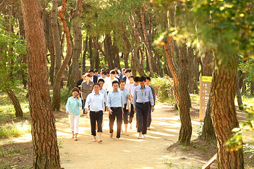 경북도청 천년숲 (사진=경북도 제공)