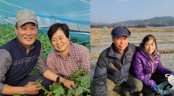 손중환·김선희 부부(왼쪽)와 강기원·이성숙 부부