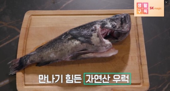 사진=KBS 편스토랑