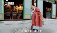 '동물극장 단짝' 울산 신불산 '견' 보살님들, 혜암 스님과 특별한 인연