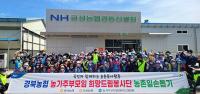 경북농협, 의성 지역 마늘 농가 찾아 마늘종 제거작업 '구슬땀'