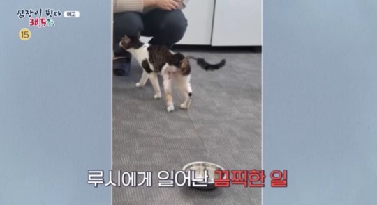 사진=MBC 심장이 뛴다 38.5
