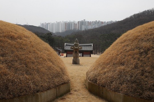 경기도 김포시 풍무동 장릉 전방에 보이는 인천 서구 검단시도시 신축 아파트 건설 현장. 사진=임준선 기자