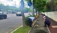 경북도, '자전거도로·개인형 이동장치 관리실태 안전감찰' 실시…28건 지적