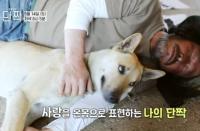 '동물극장 단짝' 인생을 천천히 여행하는 청산도 달팽이와 단짝 '조코'