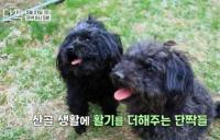 '동물극장 단짝' 곰배령의 두 딸과 소소한 일상 나누는 남자
